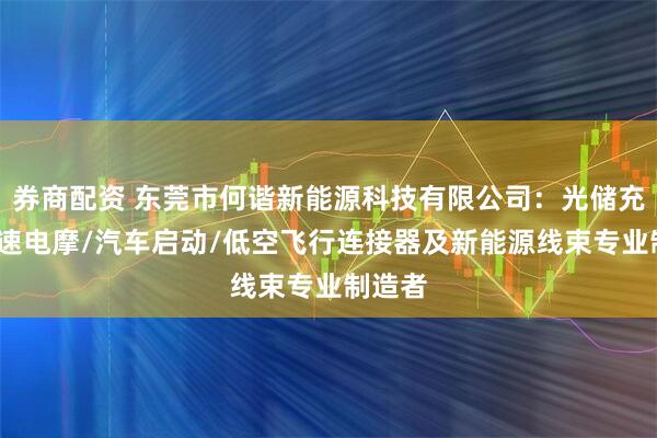 券商配资 东莞市何谐新能源科技有限公司：光储充放/高速电摩/汽车启动/低空飞行连接器及新能源线束专业制造者
