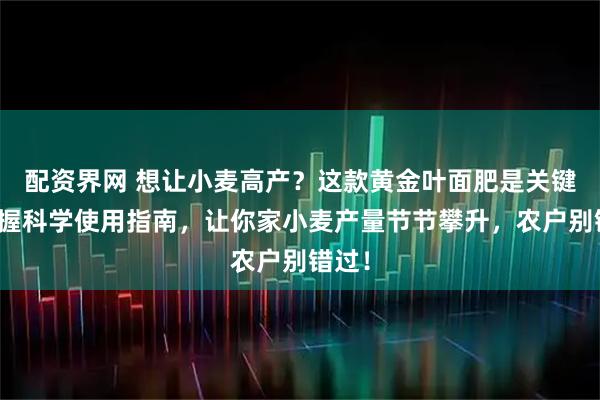 配资界网 想让小麦高产？这款黄金叶面肥是关键！掌握科学使用指南，让你家小麦产量节节攀升，农户别错过！