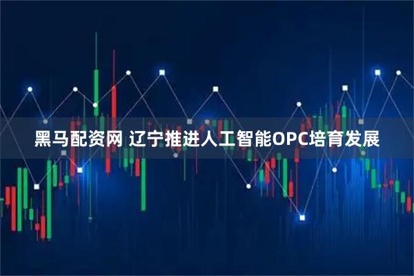 黑马配资网 辽宁推进人工智能OPC培育发展